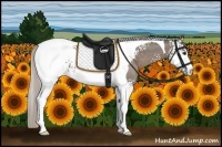 Horse Color:White Spotted Silver Black Tobiano