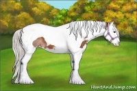 Horse Color:Silver Brown Sabino Splash Tobiano 