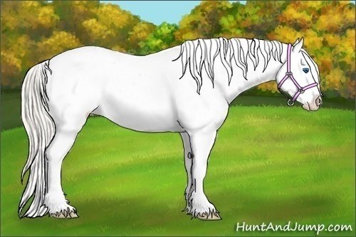 Horse Color:Silver Brown Pearl Sabino Splash Tobiano Varnish