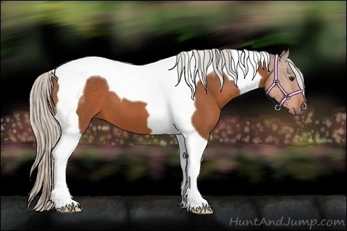 Horse Color:Silver Bay Tobiano 