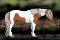Horse Color:Silver Bay Tobiano 
