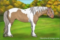 Horse Color:Silver Bay Dun Tobiano