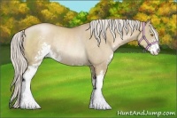 Horse Color:Silver Grullo Pearl Sabino Rabicano 
