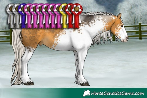 Horse Color:White Spotted Silver Buckskin Tobiano 