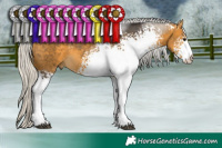 Horse Color:White Spotted Silver Buckskin Tobiano 