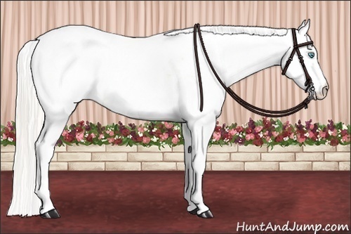 Horse Color:White Spotted Gold Cream Champagne Pearl Dun 