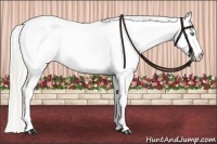 Horse Color:White Spotted Gold Cream Champagne Pearl Dun 
