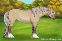 Horse Color:Silver Bay Dun Rabicano 