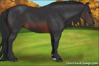 Horse Color:Brown 