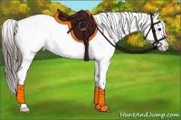 Horse Color:Black Appaloosa Rabicano 