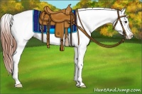 Horse Color:Grullo Appaloosa 