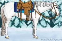 Horse Color:Black Pearl Appaloosa