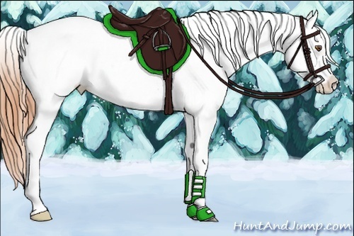 Horse Color:Classic Champagne Dun Varnish 
