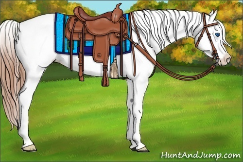 Horse Color:Blue Roan Splash Snowcap 