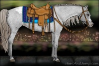 Horse Color:Smoky Blue Roan Appaloosa