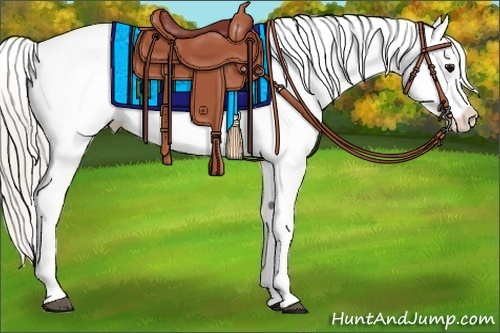 Horse Color:Silver Black Appaloosa