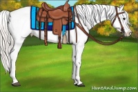 Horse Color:Silver Black Appaloosa