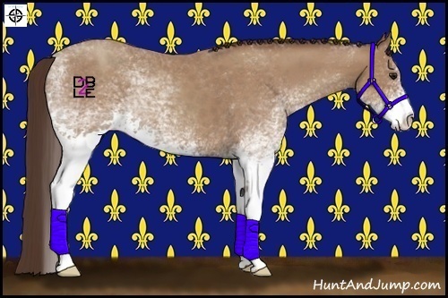 Horse Color:White Spotted Classic Champagne