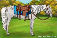 Horse Color:Silver Smoky Black Appaloosa 