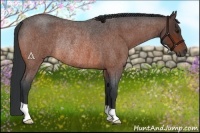 Horse Color:Bay Roan Rabicano 
