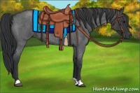 Horse Color:Blue Roan 