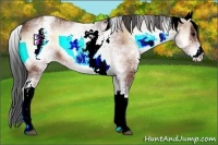 Horse Color:White Spotted Bay Onyx 