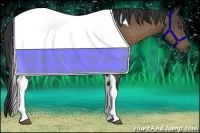 Horse Color:Buckskin Tobiano Frame 