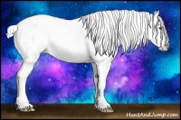 Horse Color:Silver Classic Champagne Chinchilla Ice Splash Appaloosa