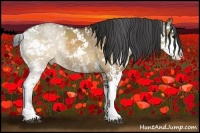 Horse Color:Buckskin Dun Sabino 