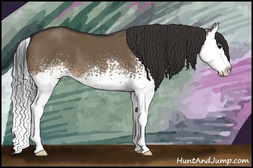 Horse Color:White Spotted Brown Dun Splash 