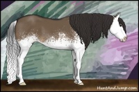 Horse Color:White Spotted Brown Dun Splash