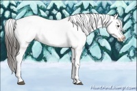 Horse Color:Liver Chestnut Frame Appaloosa