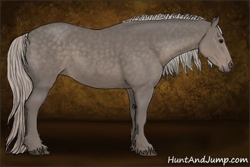 Horse Color:Silver Black 