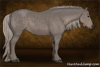 Horse Color:Silver Black 