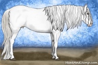 Horse Color:Chocolate Palomino Varnish