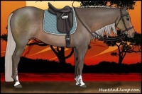 Horse Color:Silver Black Sabino 