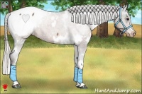 Horse Color:White Spotted Silver Brown Snowcap