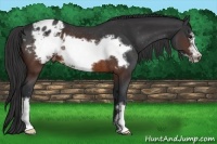 Horse Color:Brown Frame Varnish Rabicano 