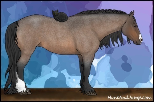 Horse Color:Buckskin Roan 
