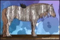 Horse Color:Liver Chestnut Ice 