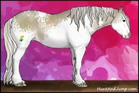 Horse Color:White Spotted Silver Grullo Splash 