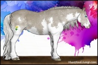 Horse Color:Silver Smoky Blue Roan Splash