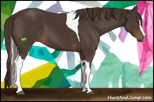 Horse Color:Liver Chestnut Sabino Tobiano