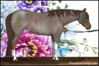 Horse Color:Liver Red Roan Tobiano 
