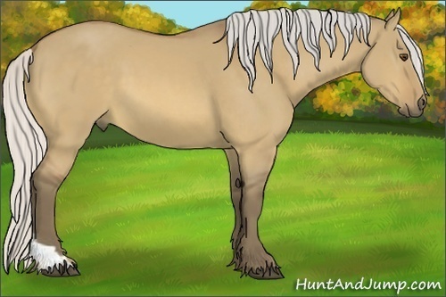 Horse Color:Silver Buckskin Dun Tobiano 