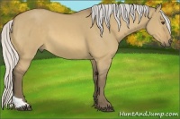 Horse Color:Silver Buckskin Dun Tobiano