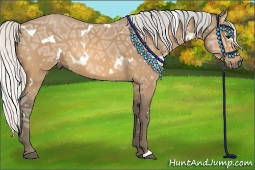 Horse Color:White Spotted Silver Buckskin Ice