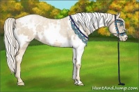 Horse Color:White Spotted Palomino Ice Pearl 