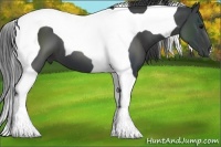 Horse Color:Black Tobiano
