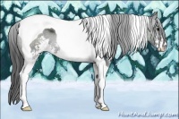 Horse Color:Smoky Black Sabino Tobiano 